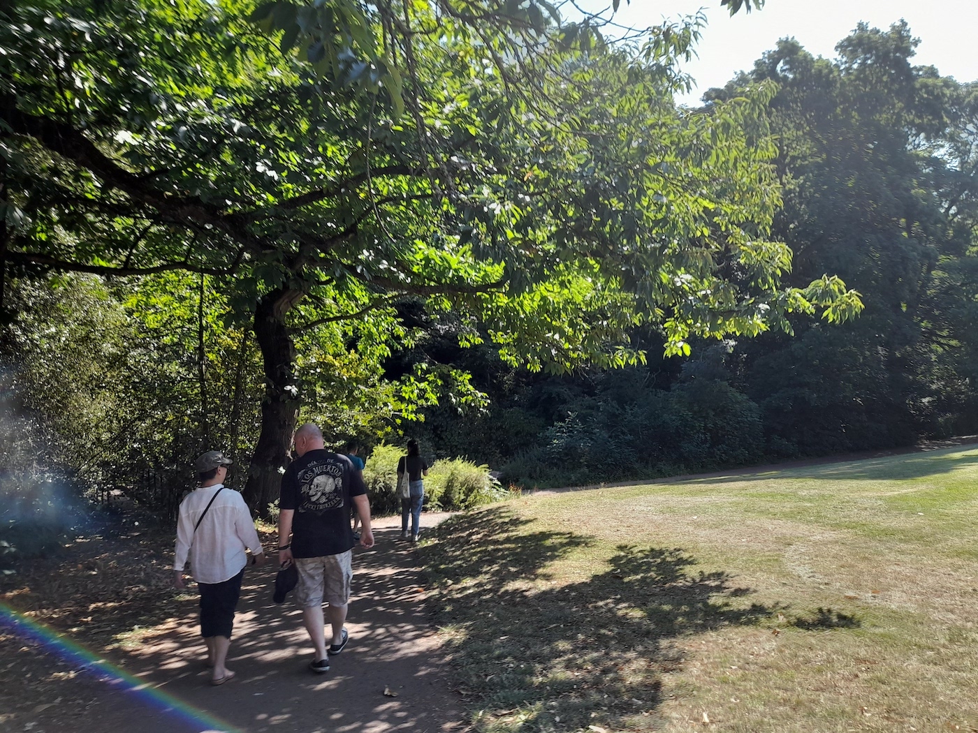 Two participants walk along a path with a green field to their right and trees to their left. The walkers are in the trees' shadows cast by the bright sun.